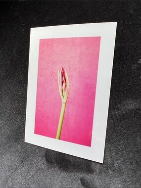 The Love we Hold Art Print